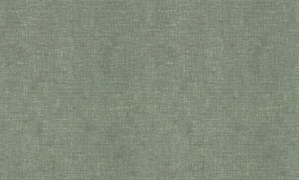 Prestige Color Exclusive Quality фон / PC72114-77 / 6 / 10,05*1,06 / Винил на Флизелине