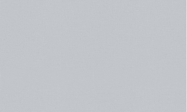 Erismann Casual Chic фон / 12143-31 / 6 / 10,05*1,06 / Винил на Флизелине