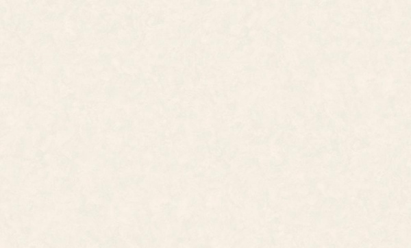 WallSecret Venera фон / 8856-13 / 6 / 10,05*1,06 / Винил на Флизелине
