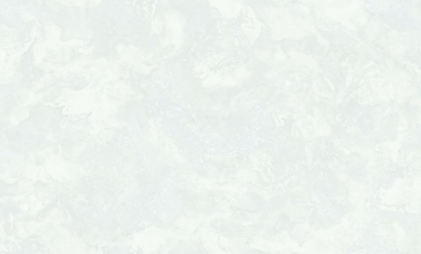 WallSecret Veneciano фон / 8810-26 / 6 / 10,05*1,06 / Винил на Флизелине